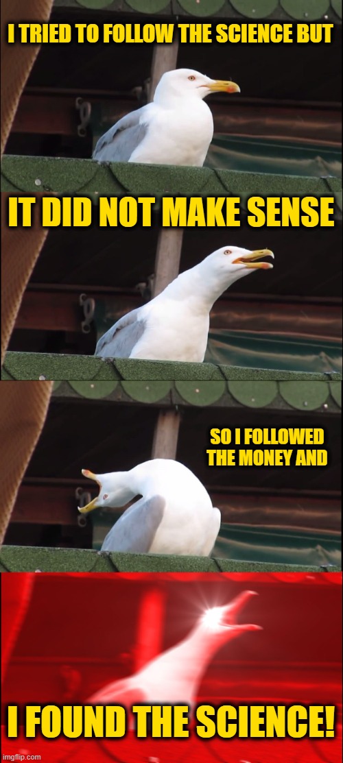 Following the Motive | I TRIED TO FOLLOW THE SCIENCE BUT; IT DID NOT MAKE SENSE; SO I FOLLOWED THE MONEY AND; I FOUND THE SCIENCE! | image tagged in memes,inhaling seagull | made w/ Imgflip meme maker