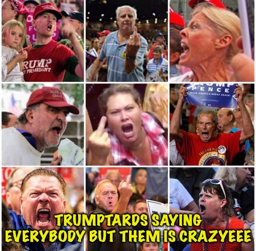Triggered Trump supporters | TRUMPTARDS SAYING EVERYBODY BUT THEM IS CRAZYEEE | image tagged in triggered trump supporters | made w/ Imgflip meme maker