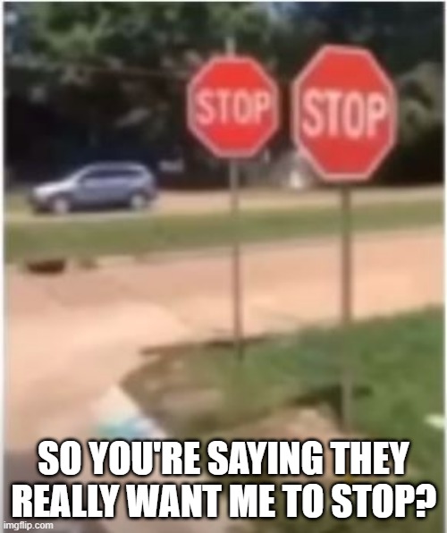 Twice | SO YOU'RE SAYING THEY REALLY WANT ME TO STOP? | image tagged in you had one job | made w/ Imgflip meme maker