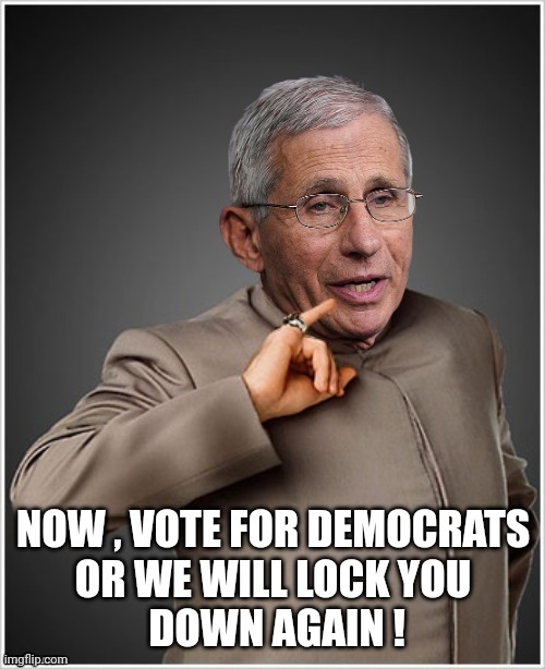 Dr Evil Fauci | NOW , VOTE FOR DEMOCRATS
OR WE WILL LOCK YOU
 DOWN AGAIN ! | image tagged in dr evil fauci | made w/ Imgflip meme maker