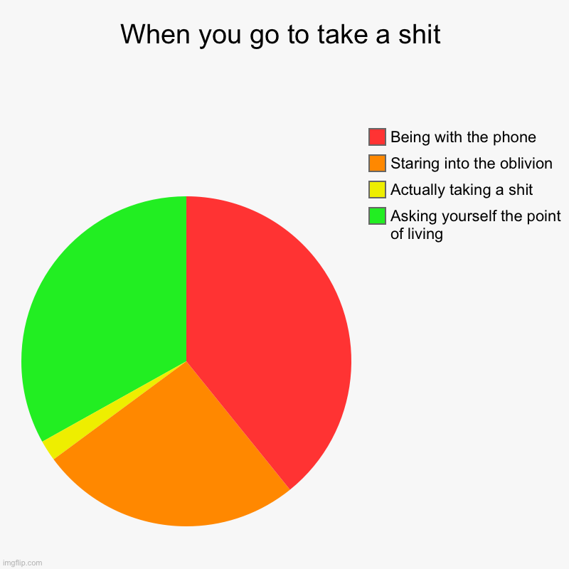 When you go to take a shit | Asking yourself the point of living, Actually taking a shit, Staring into the oblivion, Being with the phone | image tagged in charts,pie charts | made w/ Imgflip chart maker