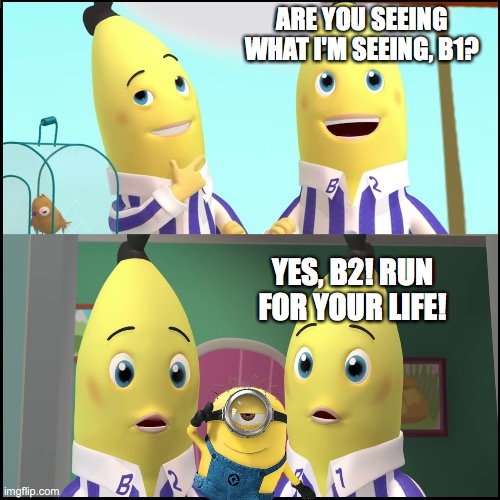Bananas in Pyjamas vs the Minions | ARE YOU SEEING WHAT I'M SEEING, B1? YES, B2! RUN FOR YOUR LIFE! | image tagged in b1 b2,despicable me,bananas | made w/ Imgflip meme maker