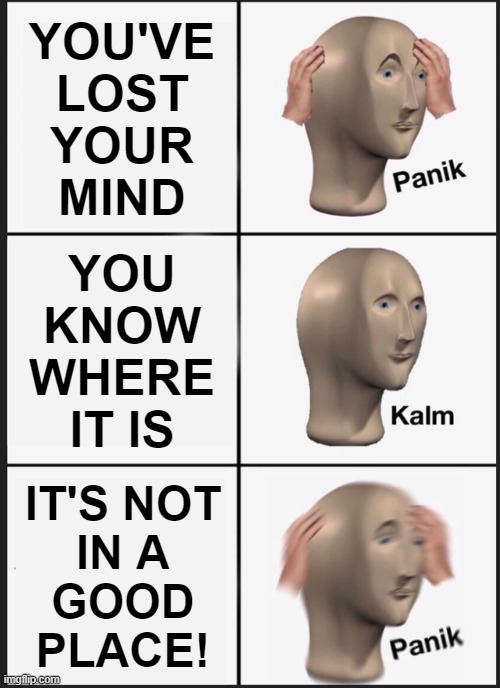 Losing Your Mind! |  YOU'VE
LOST
YOUR
MIND; YOU
KNOW
WHERE
IT IS; IT'S NOT
IN A
GOOD
PLACE! | image tagged in memes,panik kalm panik,reality,insanity,going in circles,life | made w/ Imgflip meme maker