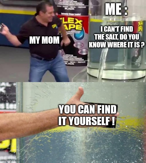 Banned meme I found in my cave | ME :; I CAN'T FIND THE SALT, DO YOU KNOW WHERE IT IS ? MY MOM; YOU CAN FIND IT YOURSELF ! | image tagged in flex tape,mom,bruh moment,parents | made w/ Imgflip meme maker