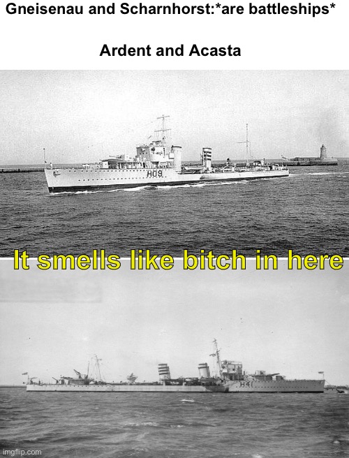 Check out Historigraph’s video on Sinking of HMS Glorious you can see how brave these two were | Gneisenau and Scharnhorst:*are battleships*; Ardent and Acasta; It smells like bitch in here | image tagged in blank white template | made w/ Imgflip meme maker