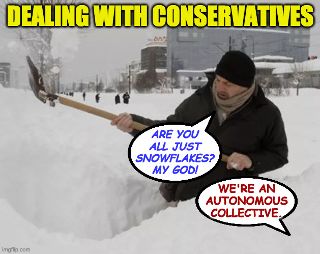 That's a lot of snowflakes. | DEALING WITH CONSERVATIVES ARE YOU
ALL JUST
SNOWFLAKES?
MY GOD! WE'RE AN
AUTONOMOUS
COLLECTIVE. | image tagged in memes,conservatives,snowflakes,monty python and the holy grail | made w/ Imgflip meme maker