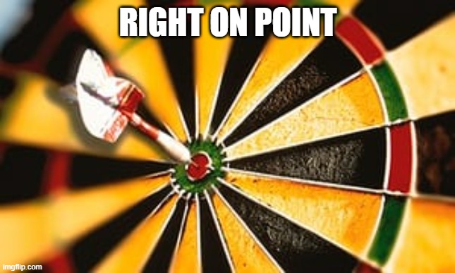bullseye | RIGHT ON POINT | image tagged in bullseye | made w/ Imgflip meme maker