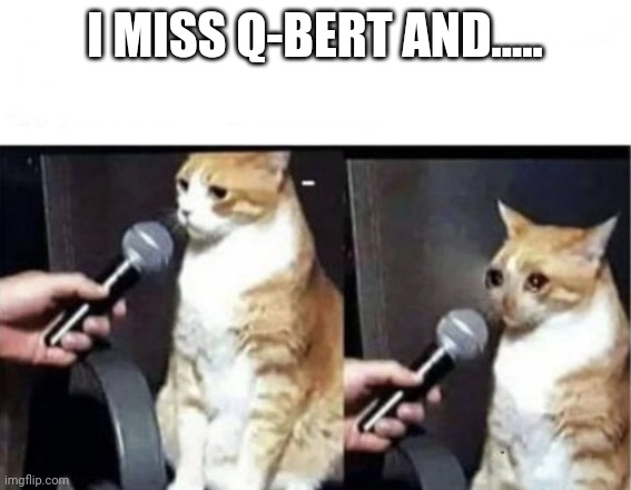 Crying Cat Interview Horizontal | I MISS Q-BERT AND..... | image tagged in crying cat interview horizontal | made w/ Imgflip meme maker