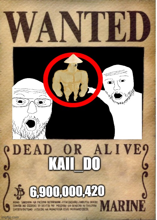 they're after me | KAII_DO; 6,900,000,420 | image tagged in one piece wanted poster template | made w/ Imgflip meme maker