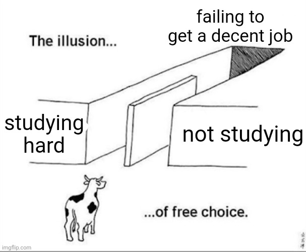 studying doesn't matter |  failing to get a decent job; studying hard; not studying | image tagged in illusion of free choice,job,studying | made w/ Imgflip meme maker
