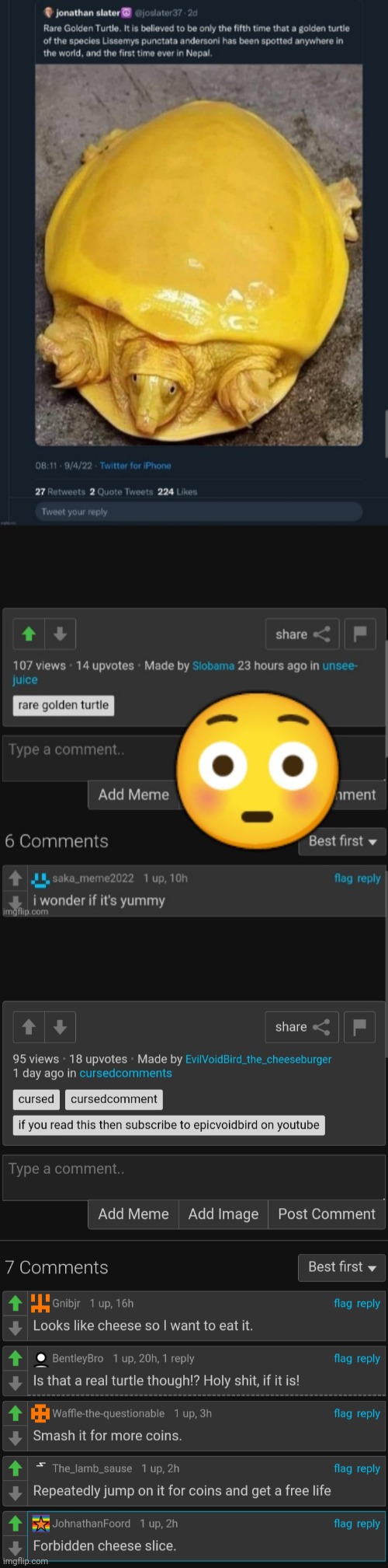 What... | image tagged in cursed,disturbing,oh look you read the tags,why did you read the tags,stop reading tags now | made w/ Imgflip meme maker
