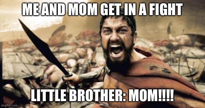 Lol | ME AND MOM GET IN A FIGHT; LITTLE BROTHER: MOM!!!! | image tagged in memes,sparta leonidas | made w/ Imgflip meme maker