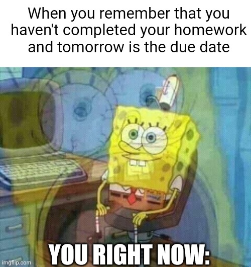 School memes #5 | When you remember that you haven't completed your homework and tomorrow is the due date; YOU RIGHT NOW: | image tagged in blank white template,spongebob panic inside,school,relatable,memes,pain | made w/ Imgflip meme maker