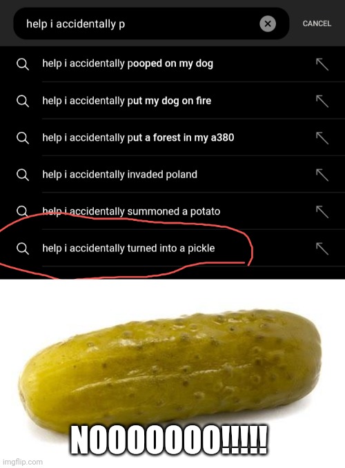 NOOOOOOO!!!!! | image tagged in pickle,this is a tag,why are you reading this | made w/ Imgflip meme maker