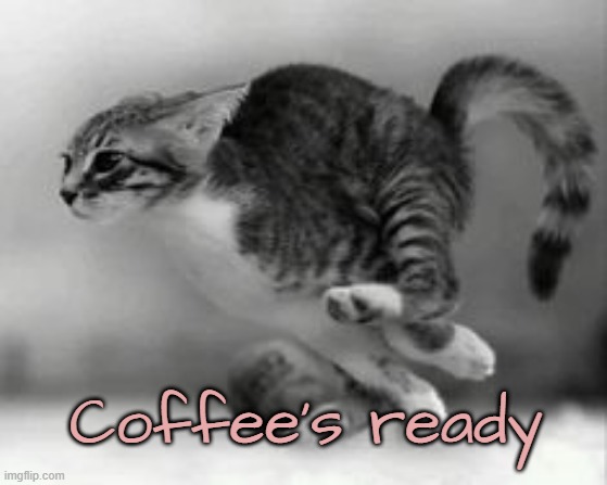 Coffee's ready | made w/ Imgflip meme maker