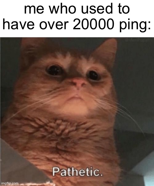 Pathetic Cat | me who used to have over 20000 ping: | image tagged in pathetic cat | made w/ Imgflip meme maker