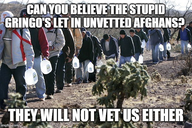If only there was a discernable pattern | CAN YOU BELIEVE THE STUPID GRINGO'S LET IN UNVETTED AFGHANS? THEY WILL NOT VET US EITHER | image tagged in illegal immigrants crossing border,discernable pattern,unvetted,dangerous,terrorists,violent criminals | made w/ Imgflip meme maker