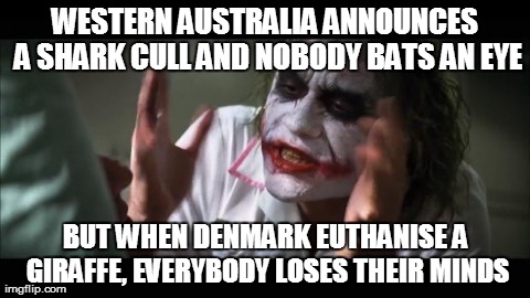 And everybody loses their minds | WESTERN AUSTRALIA ANNOUNCES A SHARK CULL AND NOBODY BATS AN EYE BUT WHEN DENMARK EUTHANISE A GIRAFFE, EVERYBODY LOSES THEIR MINDS | image tagged in memes,and everybody loses their minds | made w/ Imgflip meme maker