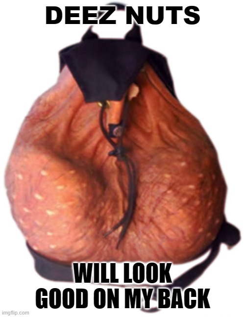 Nutsack backpack | DEEZ NUTS; WILL LOOK GOOD ON MY BACK | image tagged in nutsack backpack | made w/ Imgflip meme maker