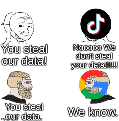 Chad we know | You steal our data! Nooooo We don't steal your data!!!!!! We know. You steal our data. | image tagged in chad we know | made w/ Imgflip meme maker