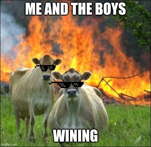 Evil Cows Meme | ME AND THE BOYS; WINING | image tagged in memes,evil cows | made w/ Imgflip meme maker