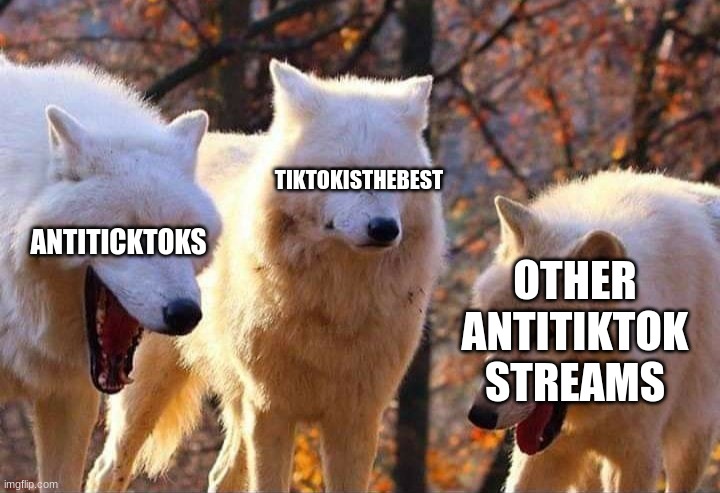 Laughing wolf | ANTITICKTOKS TIKTOKISTHEBEST OTHER ANTITIKTOK STREAMS | image tagged in laughing wolf | made w/ Imgflip meme maker