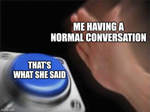 Blank Nut Button | ME HAVING A NORMAL CONVERSATION; THAT'S WHAT SHE SAID | image tagged in memes,blank nut button | made w/ Imgflip meme maker