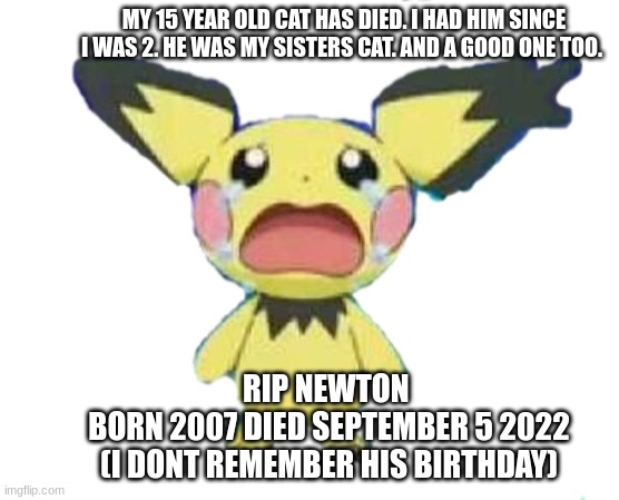 RIP Newton | MY 15 YEAR OLD CAT HAS DIED. I HAD HIM SINCE I WAS 2. HE WAS MY SISTERS CAT. AND A GOOD ONE TOO. RIP NEWTON 
BORN 2007 DIED SEPTEMBER 5 2022
(I DONT REMEMBER HIS BIRTHDAY) | image tagged in crying pichu transparent | made w/ Imgflip meme maker