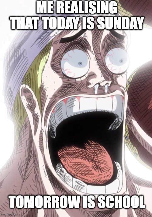 One Piece Enel Shocked | ME REALISING THAT TODAY IS SUNDAY; TOMORROW IS SCHOOL | image tagged in one piece enel shocked | made w/ Imgflip meme maker