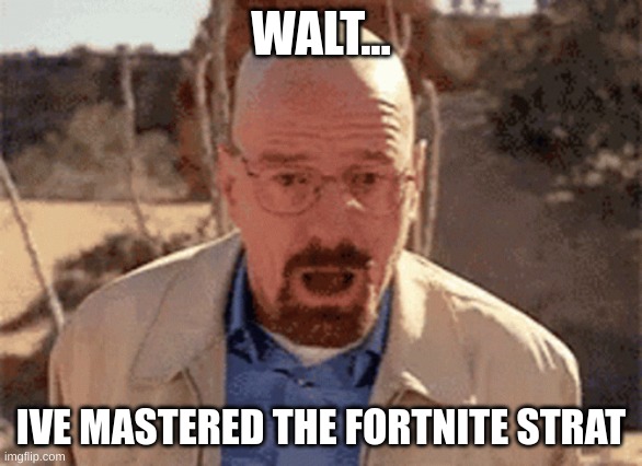 walt fortnite | WALT... IVE MASTERED THE FORTNITE STRAT | image tagged in funny memes | made w/ Imgflip meme maker