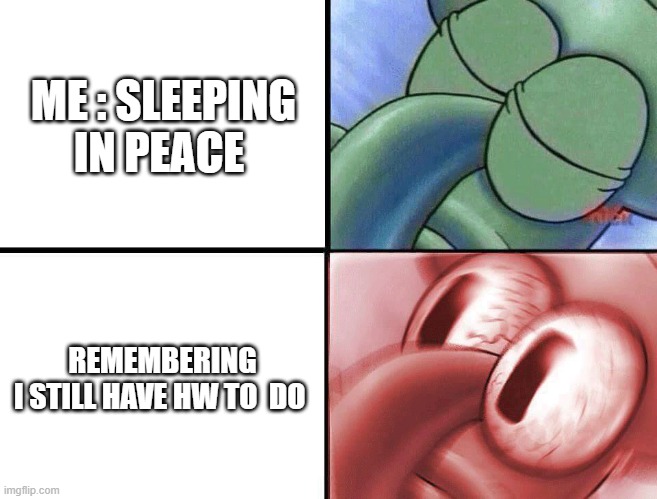 sleeping Squidward | ME : SLEEPING IN PEACE; REMEMBERING I STILL HAVE HW TO  DO | image tagged in sleeping squidward | made w/ Imgflip meme maker