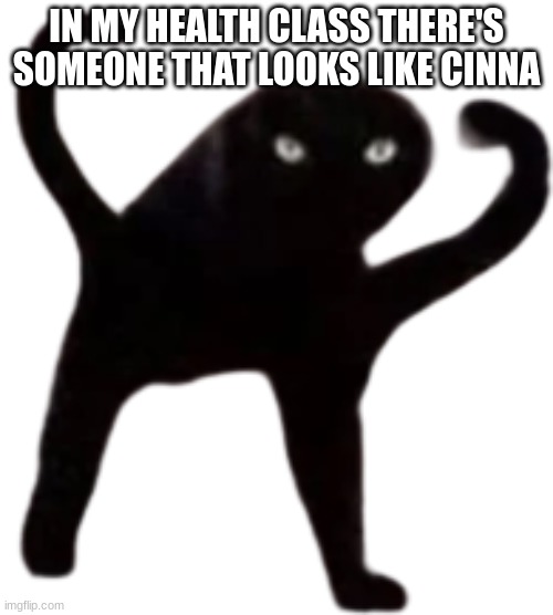 Cursed Cat | IN MY HEALTH CLASS THERE'S SOMEONE THAT LOOKS LIKE CINNA | image tagged in cursed cat | made w/ Imgflip meme maker