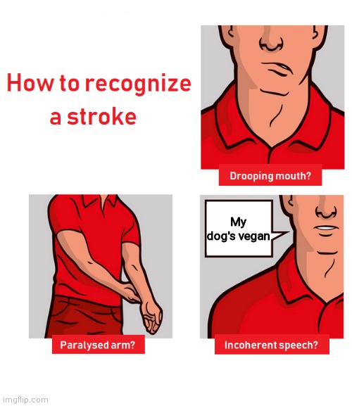How to Recognize a Stroke | My dog's vegan | image tagged in how to recognize a stroke,vegan,dog | made w/ Imgflip meme maker