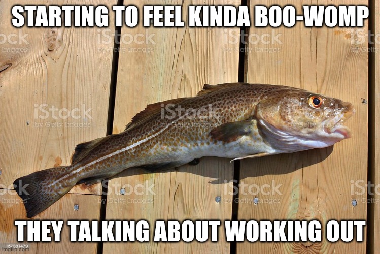 cod stock photo | STARTING TO FEEL KINDA BOO-WOMP; THEY TALKING ABOUT WORKING OUT | image tagged in cod stock photo | made w/ Imgflip meme maker