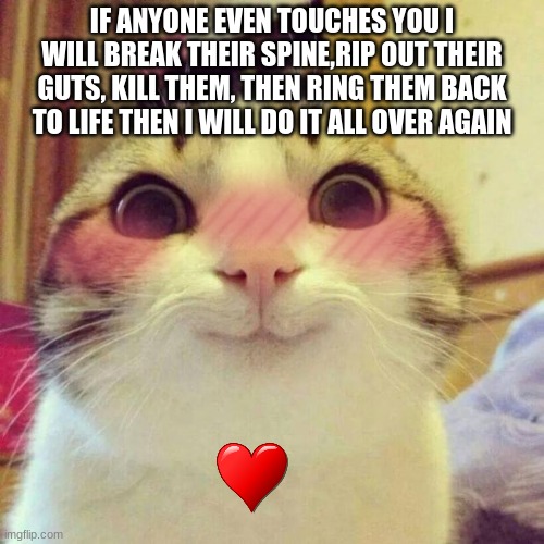 Smiling Cat | IF ANYONE EVEN TOUCHES YOU I WILL BREAK THEIR SPINE,RIP OUT THEIR GUTS, KILL THEM, THEN RING THEM BACK TO LIFE THEN I WILL DO IT ALL OVER AGAIN | image tagged in memes,smiling cat | made w/ Imgflip meme maker