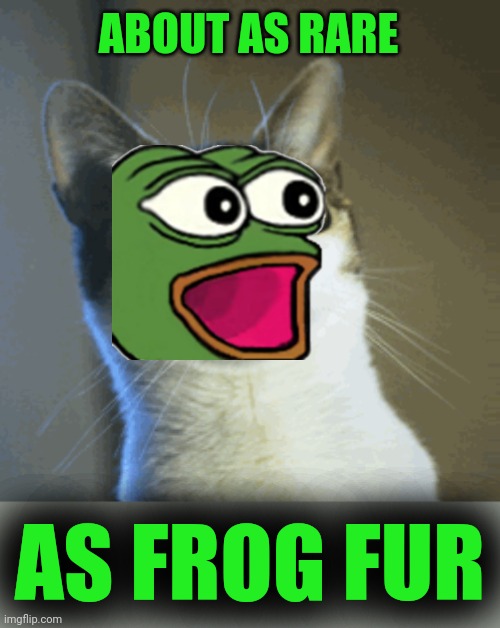 Surprised Cat | ABOUT AS RARE AS FROG FUR | image tagged in surprised cat | made w/ Imgflip meme maker
