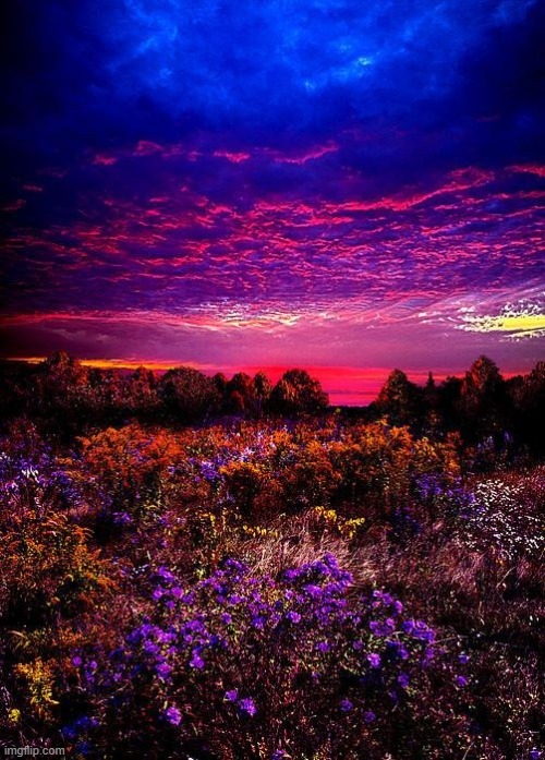 image tagged in awesome | made w/ Imgflip meme maker