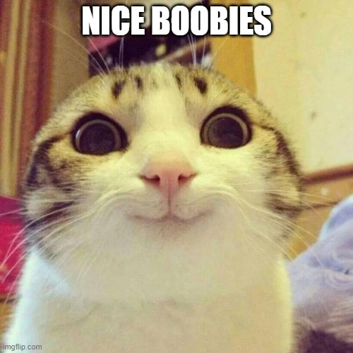 Smiling Cat Meme | NICE BOOBIES | image tagged in memes,smiling cat | made w/ Imgflip meme maker