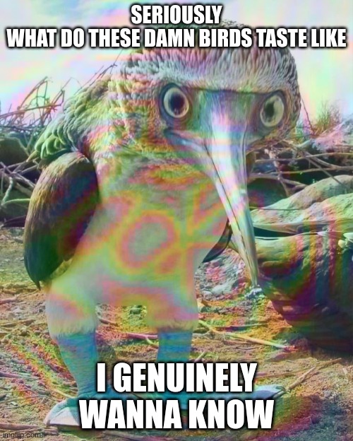 ????? | SERIOUSLY
WHAT DO THESE DAMN BIRDS TASTE LIKE; I GENUINELY WANNA KNOW | made w/ Imgflip meme maker