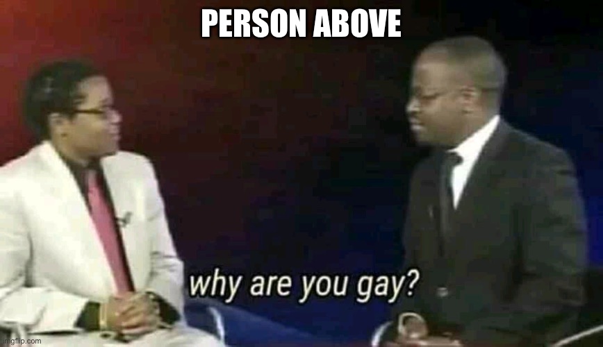Why are you gay? | PERSON ABOVE | image tagged in why are you gay | made w/ Imgflip meme maker