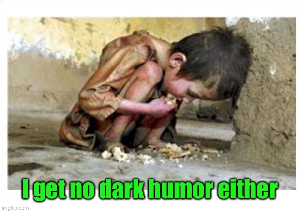 Starving child | I get no dark humor either | image tagged in starving child | made w/ Imgflip meme maker