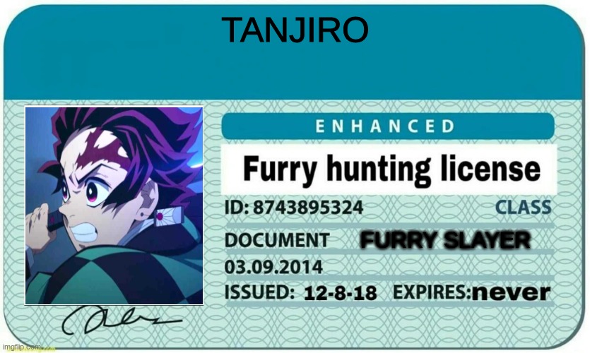 furry hunting license | TANJIRO; FURRY SLAYER | image tagged in furry hunting license | made w/ Imgflip meme maker