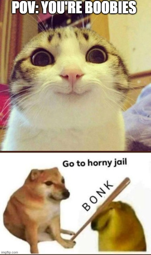 POV: YOU'RE BOOBIES | image tagged in memes,smiling cat,go to horny jail | made w/ Imgflip meme maker