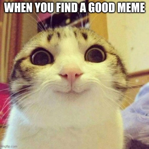 Smiling Cat | WHEN YOU FIND A GOOD MEME | image tagged in memes,smiling cat | made w/ Imgflip meme maker