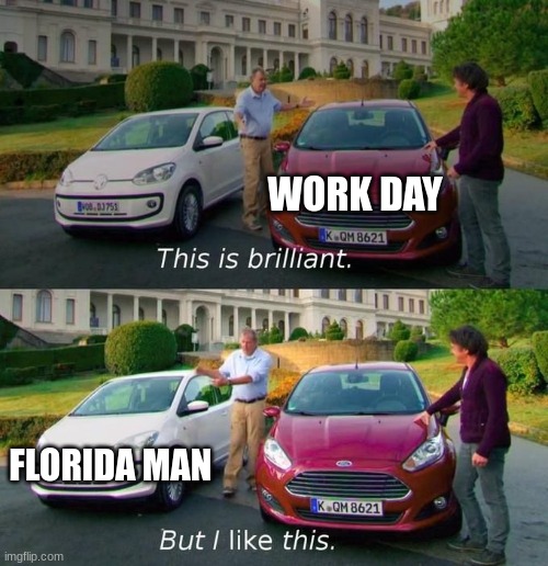 This Is Brilliant But I Like This | WORK DAY FLORIDA MAN | image tagged in this is brilliant but i like this | made w/ Imgflip meme maker