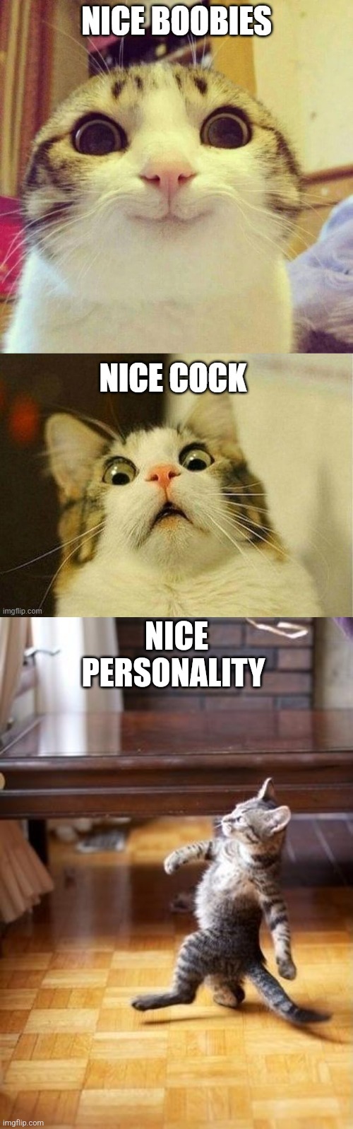 NICE PERSONALITY | image tagged in memes,cool cat stroll | made w/ Imgflip meme maker