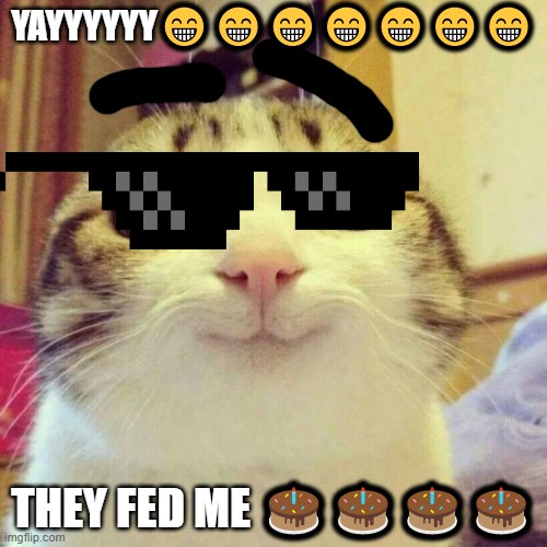 Smiling Cat Meme | YAYYYYYY😁😁😁😁😁😁😁; THEY FED ME 🎂🎂🎂🎂 | image tagged in memes,smiling cat | made w/ Imgflip meme maker