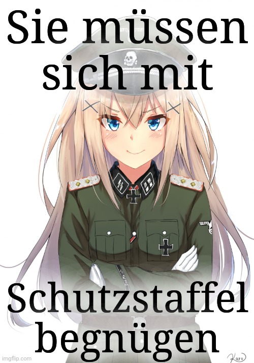 Sie müssen sich mit Schutzstaffel begnügen | image tagged in anime reich officer | made w/ Imgflip meme maker