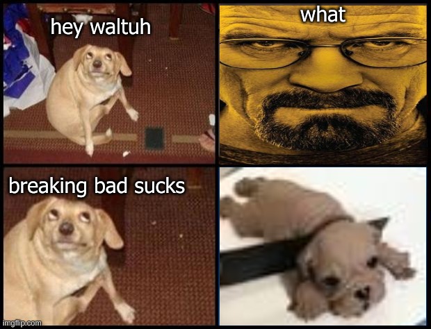 Oh You | hey waltuh what breaking bad sucks | image tagged in oh you | made w/ Imgflip meme maker