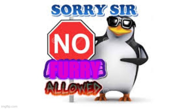 NO Anime Allowed | FURRY | image tagged in no anime allowed | made w/ Imgflip meme maker
